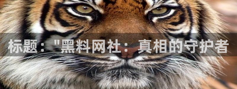 知名名人丑闻新瓜曝光