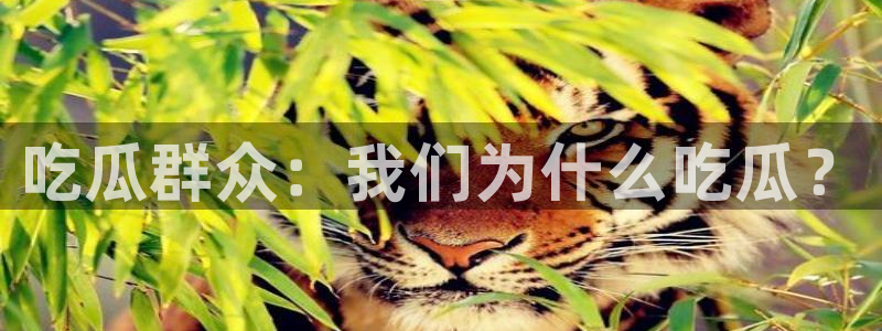 知名名人丑闻新瓜曝光