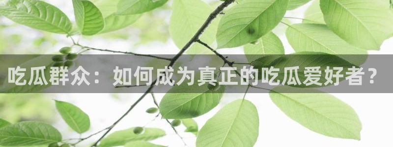 知名名人丑闻新瓜曝光