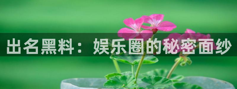 知名名人丑闻新瓜曝光